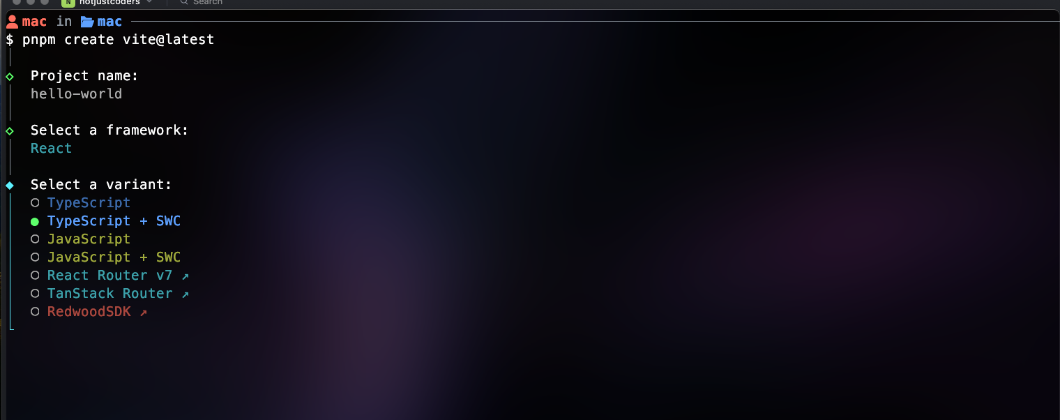 Vite CLI prompting the user to choose Javascript or Typescript